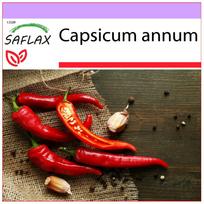 SAFLAX – Čili – De Cayenne – 20 sėklų – Capsicum annum