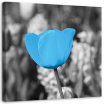 Canvas print Tulip Flowers Blue 30x30 mėlyna