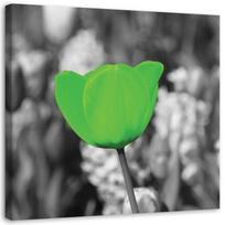 Canvas print Tulips Flower 30x30 žalia
