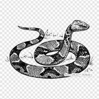 Boa Constrictor Rattlesnake Iron on Heat Transfer Printing Vinyl Patches Sticker for Clothes DIY Appliques Washable Patches black