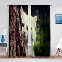 Cat Print Kitten Kitty Face Look Closeup Sheer Voile Curtain for Living Room Bedroom Decor Animal Window Chiffon Tulle Curtains 1 PCS W100XH250cm&Grommet Top