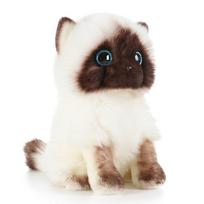 Simuliacija Siamo katės pliušinis žaislas mėlynas blizgučiai Akys Lėlės Rudos ir baltos Veidas Ragdoll Cats Namų dekoras Miela dovana kūdikiui 20cm