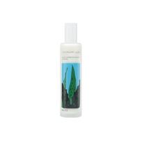CHUNGMIJUNG Aloe Fermentation Lotion 140ml 1 PCS