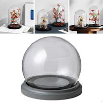Glass Dome Display Set for Home And Office Decor A