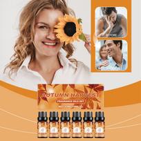 Autumn Aromatherapy Oil Warm Atmosphere Aroma Diffuser Stone Humidifier Available60ML oranžinė
