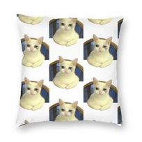 Crying Cat Meme Cushion Cover 40x40 Home Decorative Pillow Case Print Cartoon Throw Pillow for Sofa Two Side Decoration Salon 30x30cm