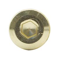 Gold-Plated 304 Stainless Steel Hex Socket Flat Head Screws (M4-M10) M2*4