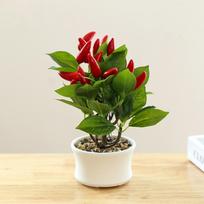 Dirbtiniai Imituoti Vaisiai Bonsai Papuošalai Spalvingi Netikri Vazoniniai Augalai Namams Svetainei
