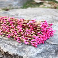 30pcs Artificial Berry Stems - Vibrant Plastic Floral Decor for DIY Wreaths, Spring Home & Event Decorations, Holiday Home Accents, Floral Decor 30pcs rožinė raudona spalva