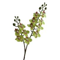 Dirbtinės kandžių orchidėjos 2 šakutės realistiška netikra šilkinė gėlė vestuvių vakarėliui namų biuro stalo puošmena netikra Phalaenopsis gėlių šaka dekoracija