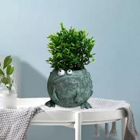 Bonsai Frog Planter for Collectible Home Display A_Blue