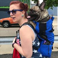 Large Pet Backpack Dog Cats Carrier Bag Puppy Outdoor Riding Hiking Travel mėlyna