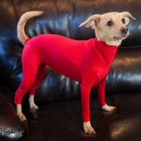 Plaukų slinkimo atstatymo kostiumas Gyvūno kombinezonas Sportiniai marškinėliai Nerimo mažinimas Šokinėjimo kostiumas Šunų drabužiai Ropa Para Perros (Blue,XL) mėlyna