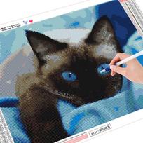 Piešimas deimantais 5D „pasidaryk pats“ deimantinis paveikslas, gėlė, gyvūnas, siuvinėjimas kryžiaus amatai, dygsnis pilka katė 30*40 cm Partial drill gray