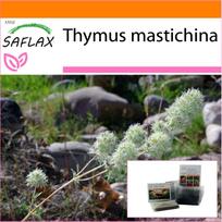 SAFLAX - Garden in the Bag - Mastic Thyme - 250 seeds - With substrate in a fitting stand up bag - Thymus mastichina