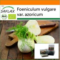 SAFLAX Sodas maiše – Ekologiški – Florencijos pankoliai – 100 sėklų – Su substratu tinkamame stovimame maišelyje – Foeniculum vulgare