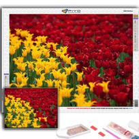 5D DIY Deimantinė tapyba Kryželiu Gėlės Tulpės Deimantinė siuvinėjimo mozaika Sienų menas Namų dekoravimas Full Round 20X30CM yellow