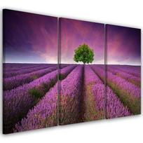 Trijų dalių paveikslo drobės atspaudas Gėlių pieva levandų kraštovaizdis 60x40 violetinė