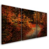Trijų dalių paveikslo drobės spaudinys Miškas Rudens Lapai Gamta 60x40 oranžinė