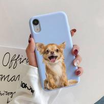 „Chihuahua Dog“ telefono dėklas, skirtas „iPhone 11 12 13 Mini Pro Xs Max 8 7 6 6S Plus X XR Solid Candy Color“ iphone 13promax gray