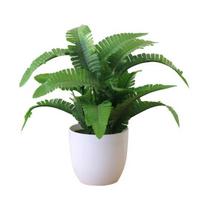 Dirbtinio lapijos augalų vazoniniai bonsai Party Mall Market Desktop Office Decor 1
