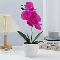 4 galvų modeliavimas drugelio orchidėjų bonsai 3D stalo dekoras Dirbtinis vazoninis augalas vestuvių dekoravimas minkšta guma