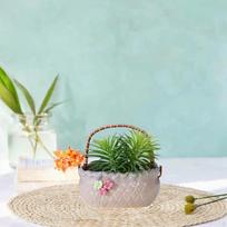 Ceramic Flower Pot for Handheld Basket Planter Container Indoor Decoration Light gray blue beige
