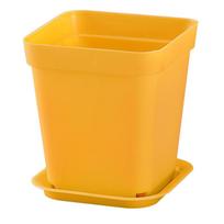 Spalvingas 7 cm kvadratinis sultingas vazonas – mažas juodai baltas plastikinis sodinukas sodinukams ir auginiams Tray geltona