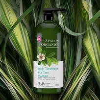 Avalon Organics Organics Scalp Treatment Tea Tree Shampoo Large Capacity 946ml