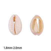 Bulk Cut Beach Sea Shell Beads Cowry Cowrie for Jewellery Craft 380-580 Pcs 380pcs