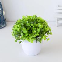 Dirbtiniai augalai vazonuose Mini žali bonsai modeliuoti mieli ornamentai Plastikiniai augalai Mažas medis vazone Namų kambario stalo dekoracijos