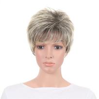 Sintetiniai moteriški perukai Garbanoti trumpi perukai moterims Šviesus ombre perukas Moteriškas kasdienis Cosplay Močiutės Mamos perukas Natūralus 4inches gray