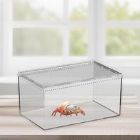 Reptile Feeding Box Terrarium Chameleons Breathable Professional Visible Geckos Lizards white