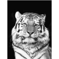 Pilnas 5D „pasidaryk pats“ deimantinis piešimas Nukentėjusiojo tigro siuvinėjimas kryželiu namų dekoras, rankų darbo dovana 25x30cm gray