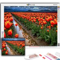 5D DIY Diamond Embroidery Flowers Tulips Diamond Painting Mosaic Home Decoration Full Round 20X30CM red