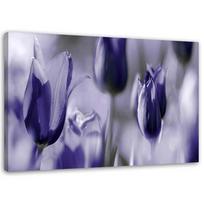 Canvas print, Purple tulips in a meadow 60x40 violetinė