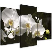 Trijų dalių paveikslų spausdinimas ant drobės Orchid Flowers Nature White 60x40 balta/juoda