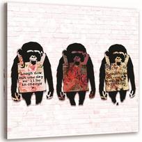 Drobės spaudinys Banksy Beždžionė Spalvinga 30x30 įvairiaspalvis