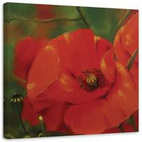 Canvas print Red Poppies Plants 30x30 raudona