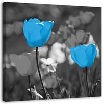 Canvas print Tulip Flowers Nature Blue 30x30 mėlyna