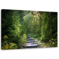 Canvas print Green forest landscape 90x60 žalia