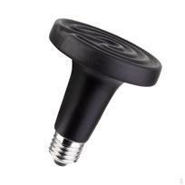 Infraraudonųjų spindulių roplių lempos šildymo šviesos spinduliuotė keraminė lemputė 100 W, sk. 75 mm
