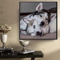 DIY Diamond Painting Funny Husky Cross Stitch Kit Mosaic Art Diamond Painting Full Circle/Square Diamond Home Decoration Round 30x30cm gray