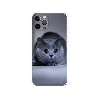 Britų trumpaplaukis katinas Dažytas telefono dėklas, skirtas iphone 5 2020se 6 6s 7 8 plus x 10 XR XS 11 12 13 mini pro MAX juodas tpu galinis dangtelis iphone 13pro MAX beige