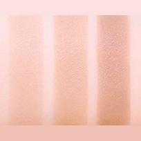 Too Cool for School By Rodin Shading (Single item/Brush giveaway plan) [Brush Planning] No. 1.5 Neutral