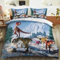 Mokslinės fantastikos drakono antklodės užvalkalų rinkinys Spalvingas grafiti patalynės rinkinys Bohemiškas antklodės patalynės rinkinys Miegamojo rinkinys Karališko dydžio 70x133cm 2pcs