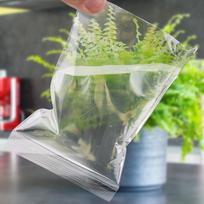 100 vienetų užtrauktuku užrakinami maišeliai Užsegami skaidrūs plastikiniai maišeliai Plastikiniai maišeliai Maži papuošalų maišeliai 4*6 white