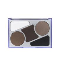 ODID Artist Plaukų Maskuoklio Paletė 12.9g P000DYUK - Hair Concealer gray