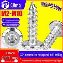 304 Stainless Steel Chamfered Hexagon Self-Tapping Screws, Flat Head, M5/M6/M8 2*4mm