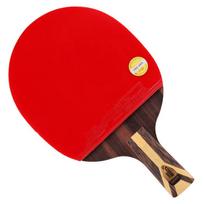 DHS Hurricane 9-Star Table Tennis Racket Short Penhold Grip